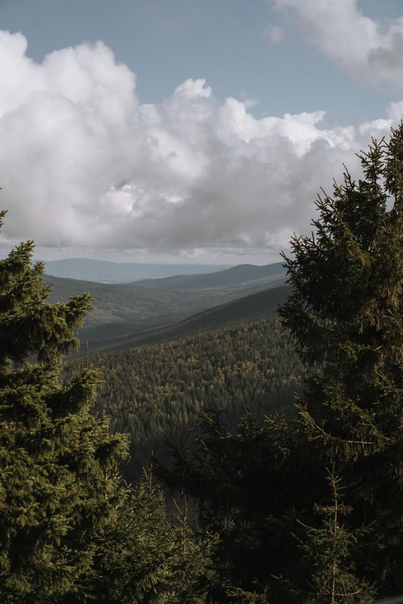 Forest Park Resort & Spa Świeradów-Zdrój エクステリア 写真