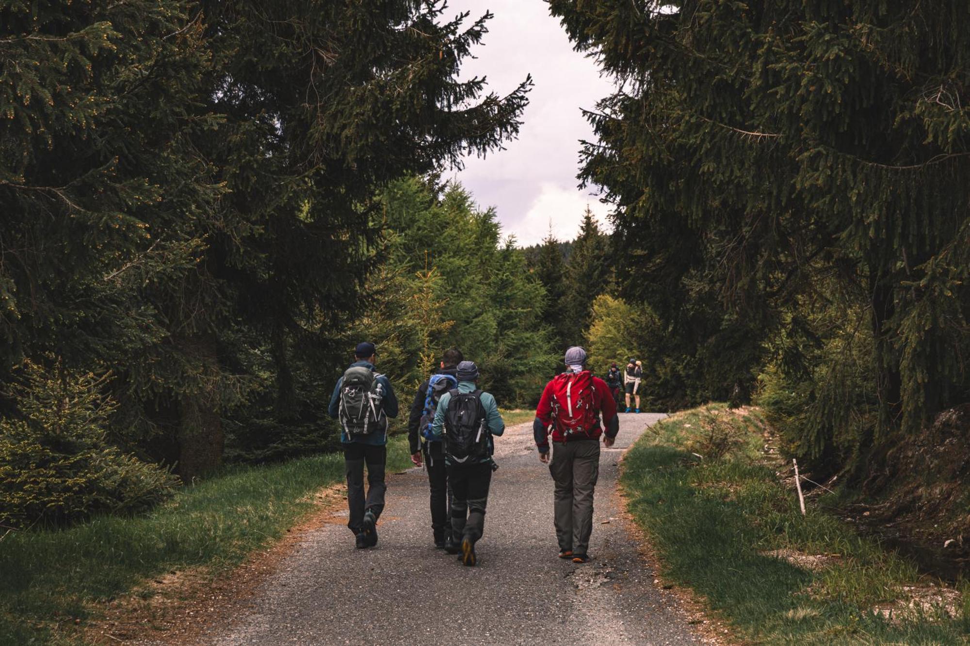Forest Park Resort & Spa Świeradów-Zdrój エクステリア 写真